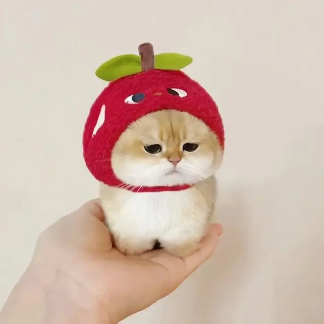 RUANGWD